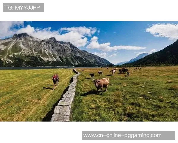 德黑兰独立与纳夫特比赛结果及精彩瞬间回顾分析